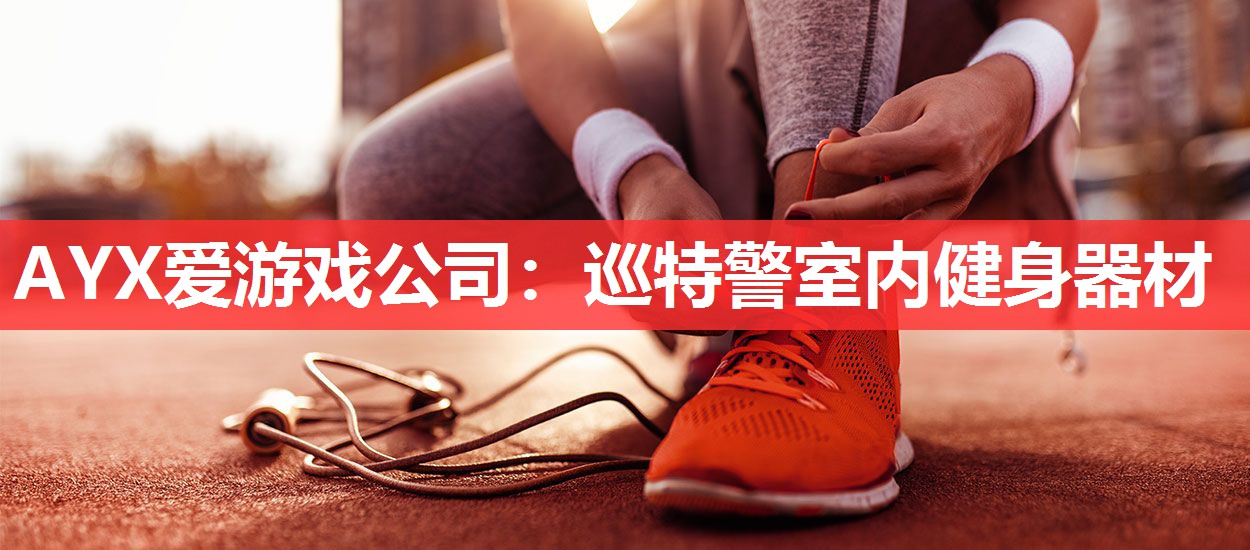 AYX爱游戏公司：巡特警室内健身器材