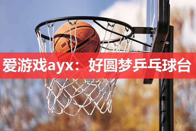 爱游戏ayx：好圆梦乒乓球台