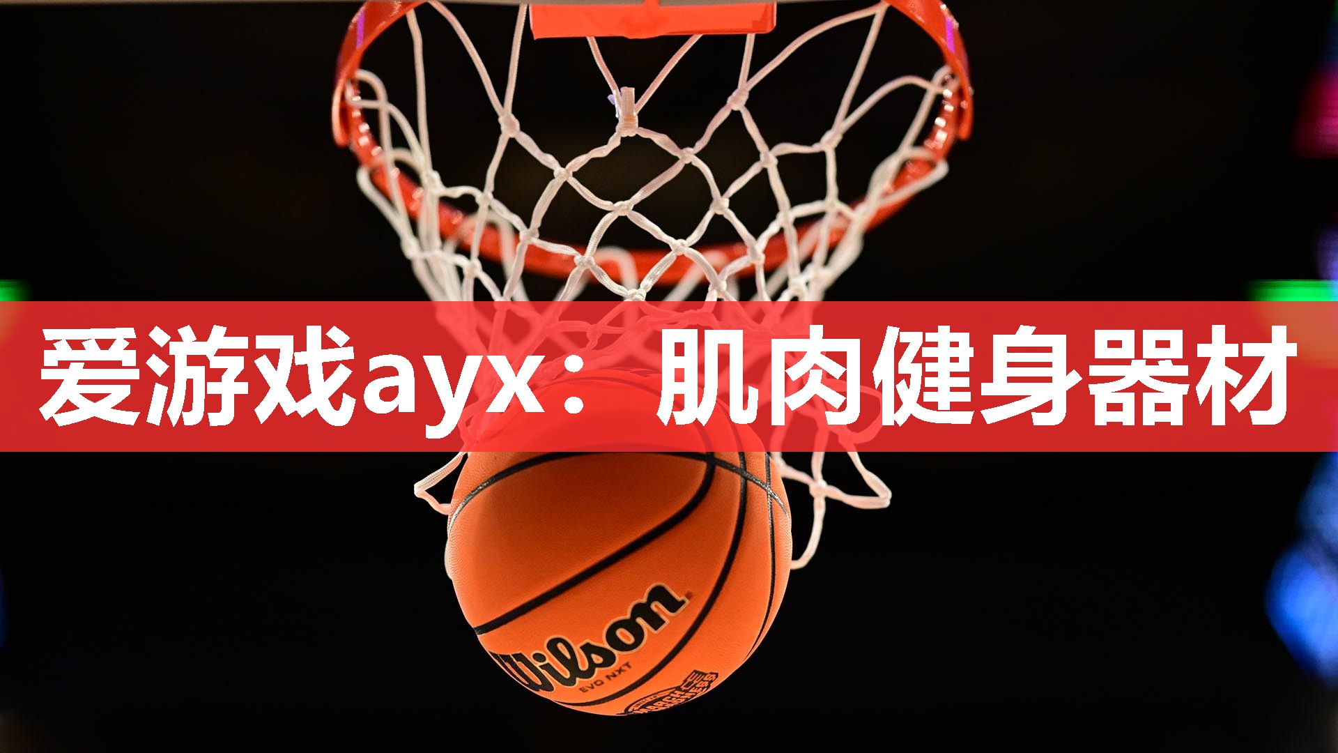 肌肉健身器材 肌肉健身器材