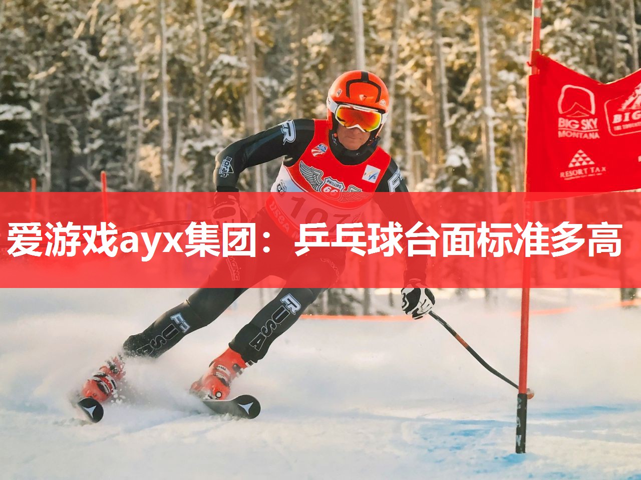 乒乓球台面标准多高 乒乓球台面标准多高