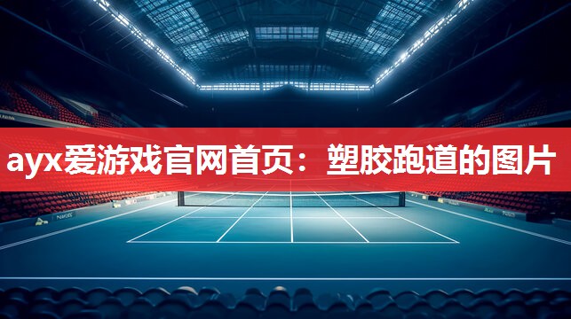 塑胶跑道的图片 塑胶跑道的图片