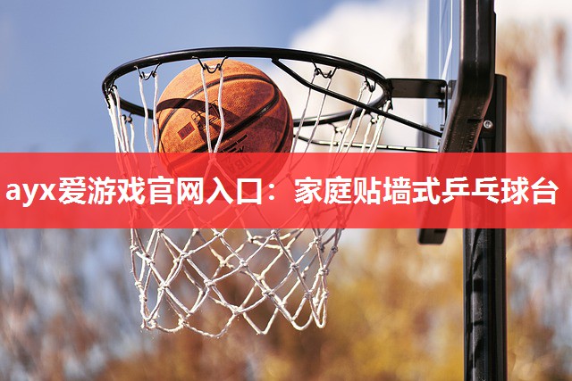 家庭贴墙式乒乓球台 家庭贴墙式乒乓球台