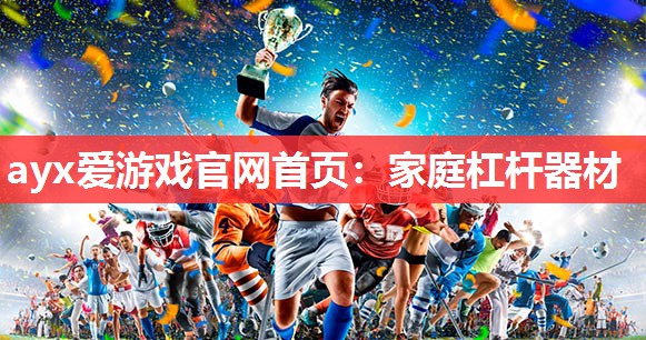 家庭杠杆器材 家庭杠杆器材